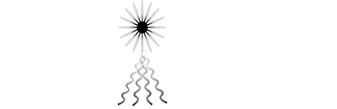 CRAYFIS logo